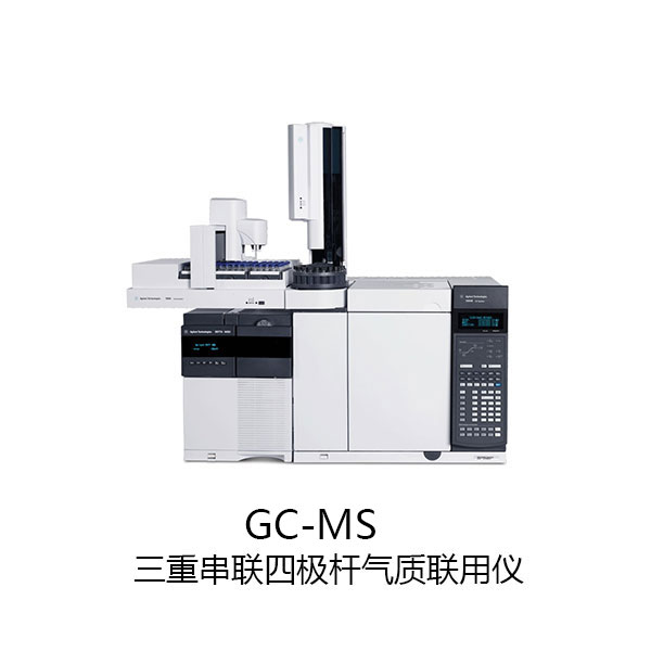 16_三重串联四极杆气质联用仪GC-MS.jpg